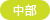 中部